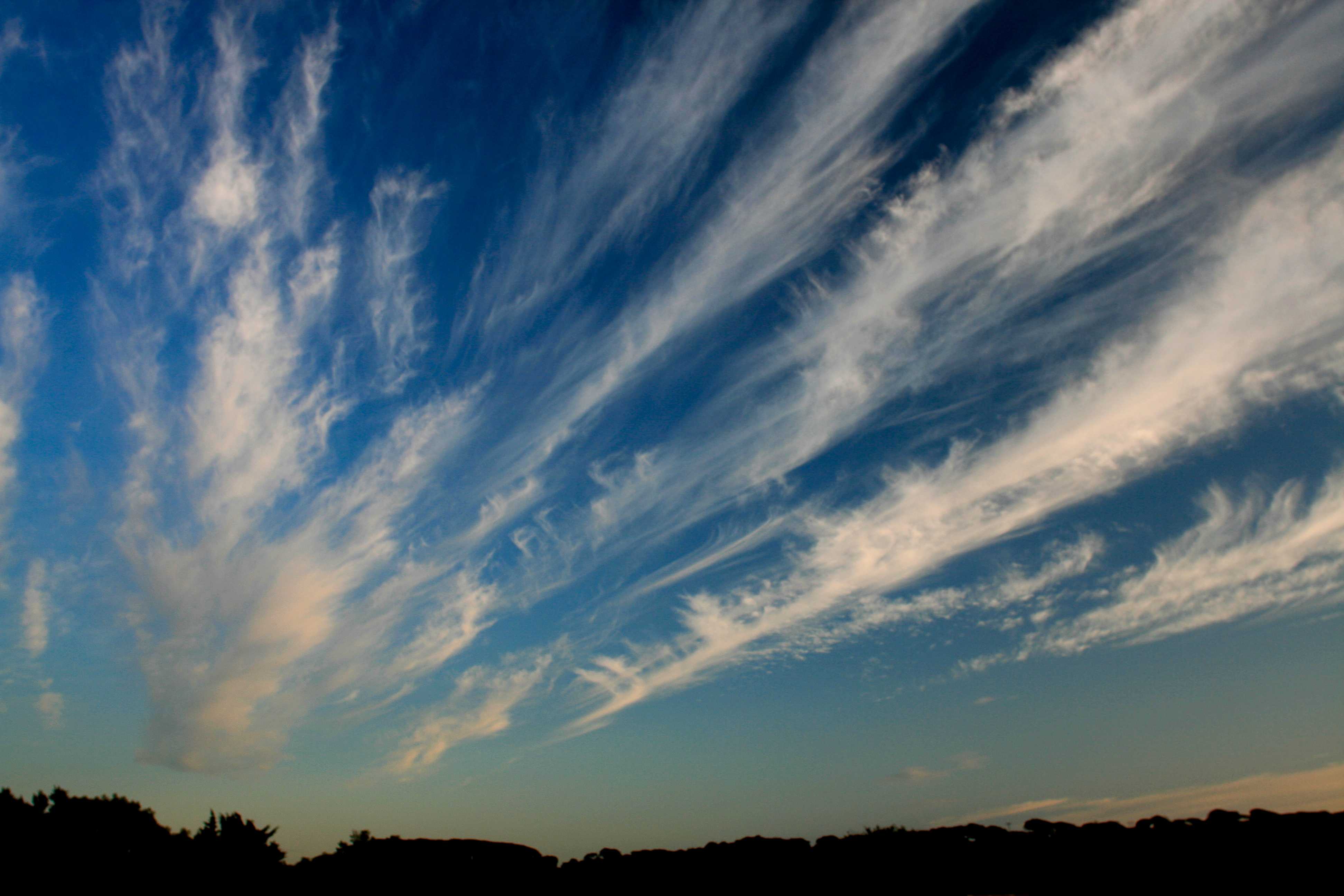 Cirrus radiatus (Ci ra) | Atlas international des nuages